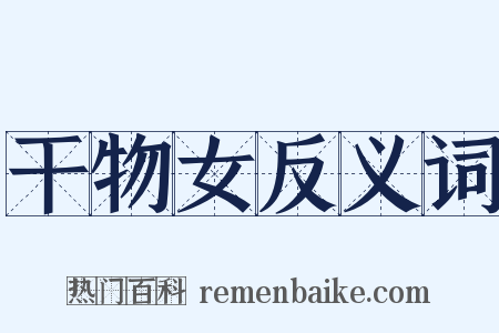 干物女反义词是什么意思的图片